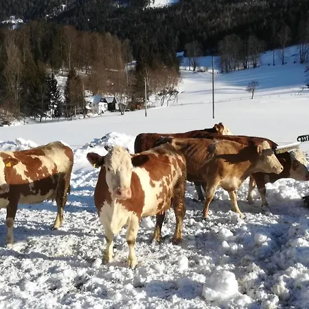 בית חווה Gausrab