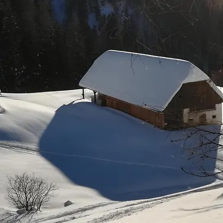 Gausrab *