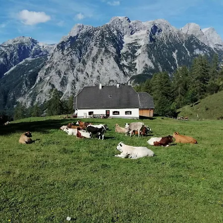 Gausrab