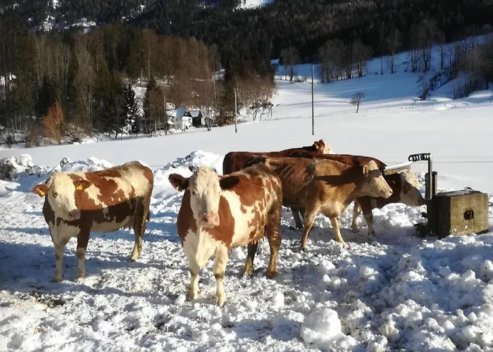 Κατάλυμα σε φάρμα Gausrab